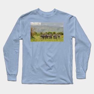 The zebras-amazing picture Long Sleeve T-Shirt